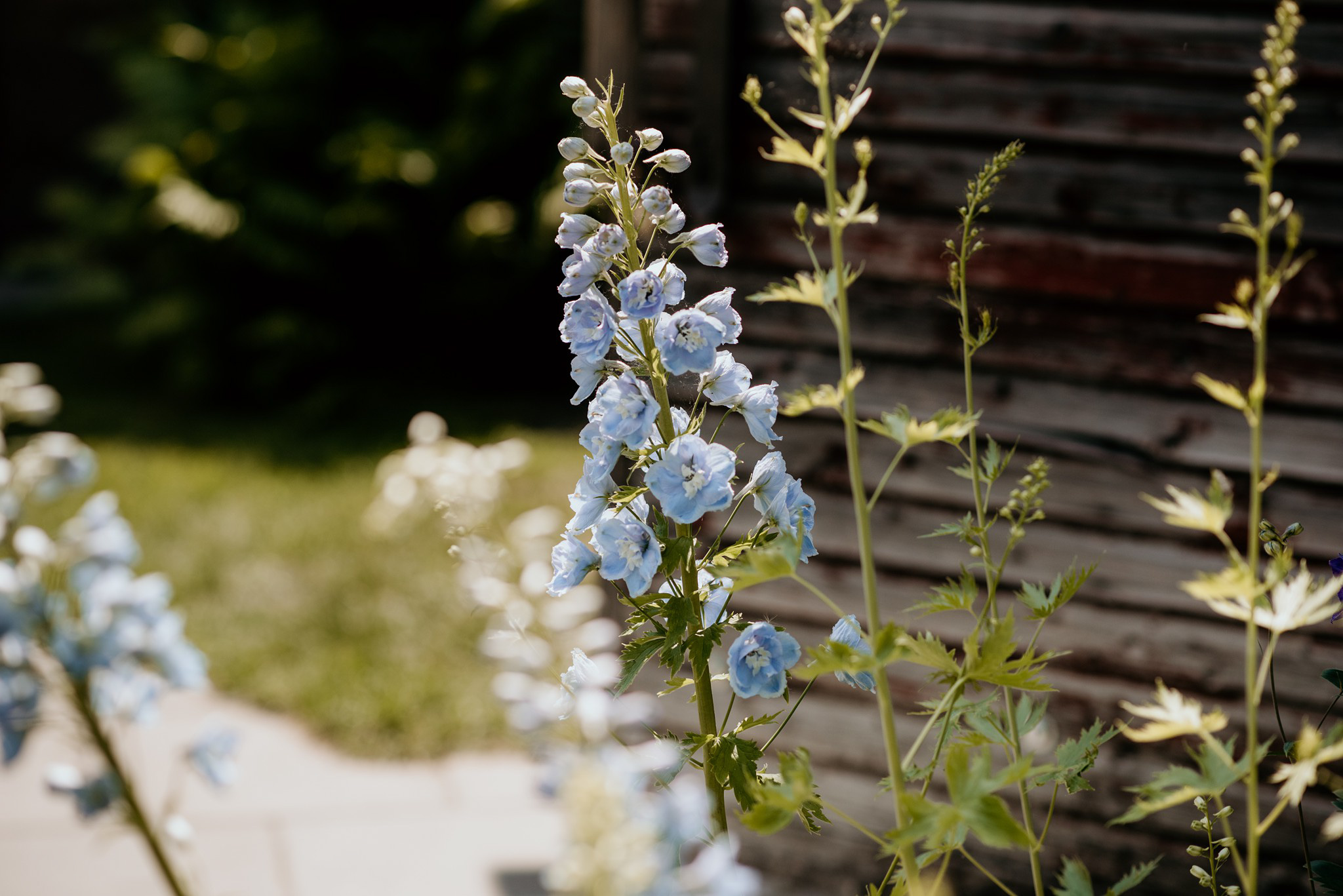 reportaż weselny stodoła