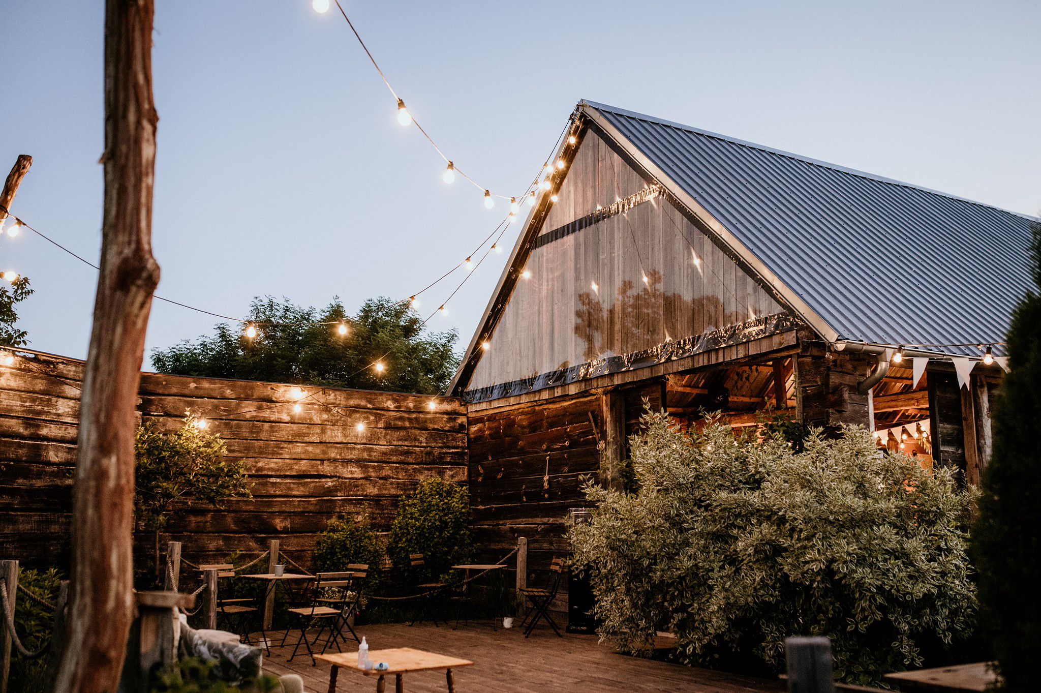 fotografia ślubna boho