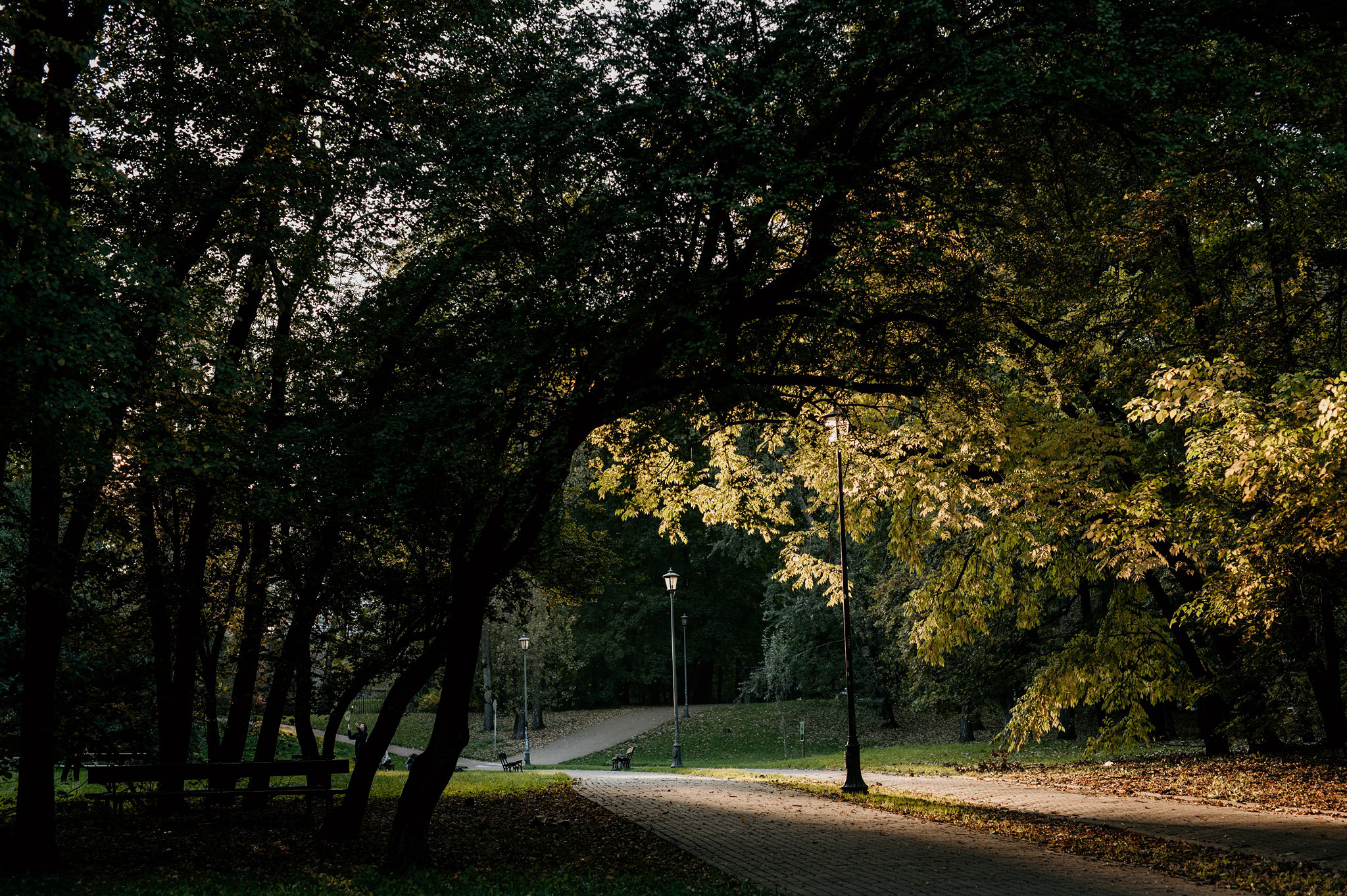 zdjęcia ślubne miasto
