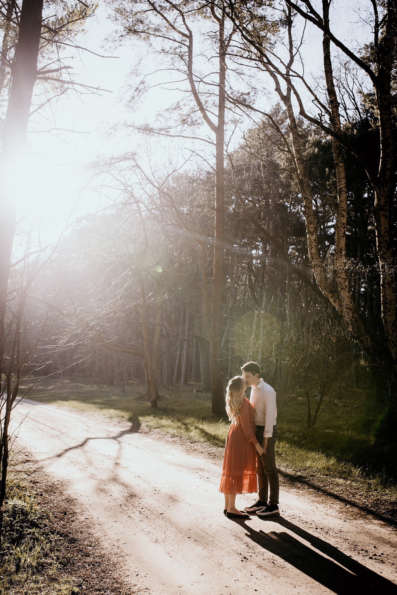 duża stajnia cicha 23 zdjęcia