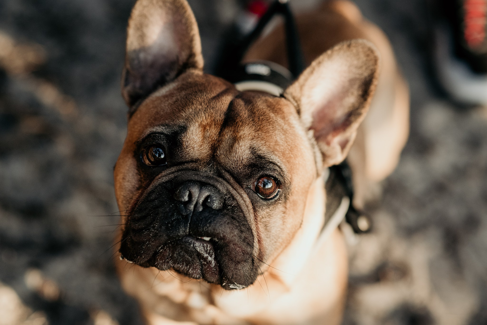 zdjęcia na ślubie warszawa