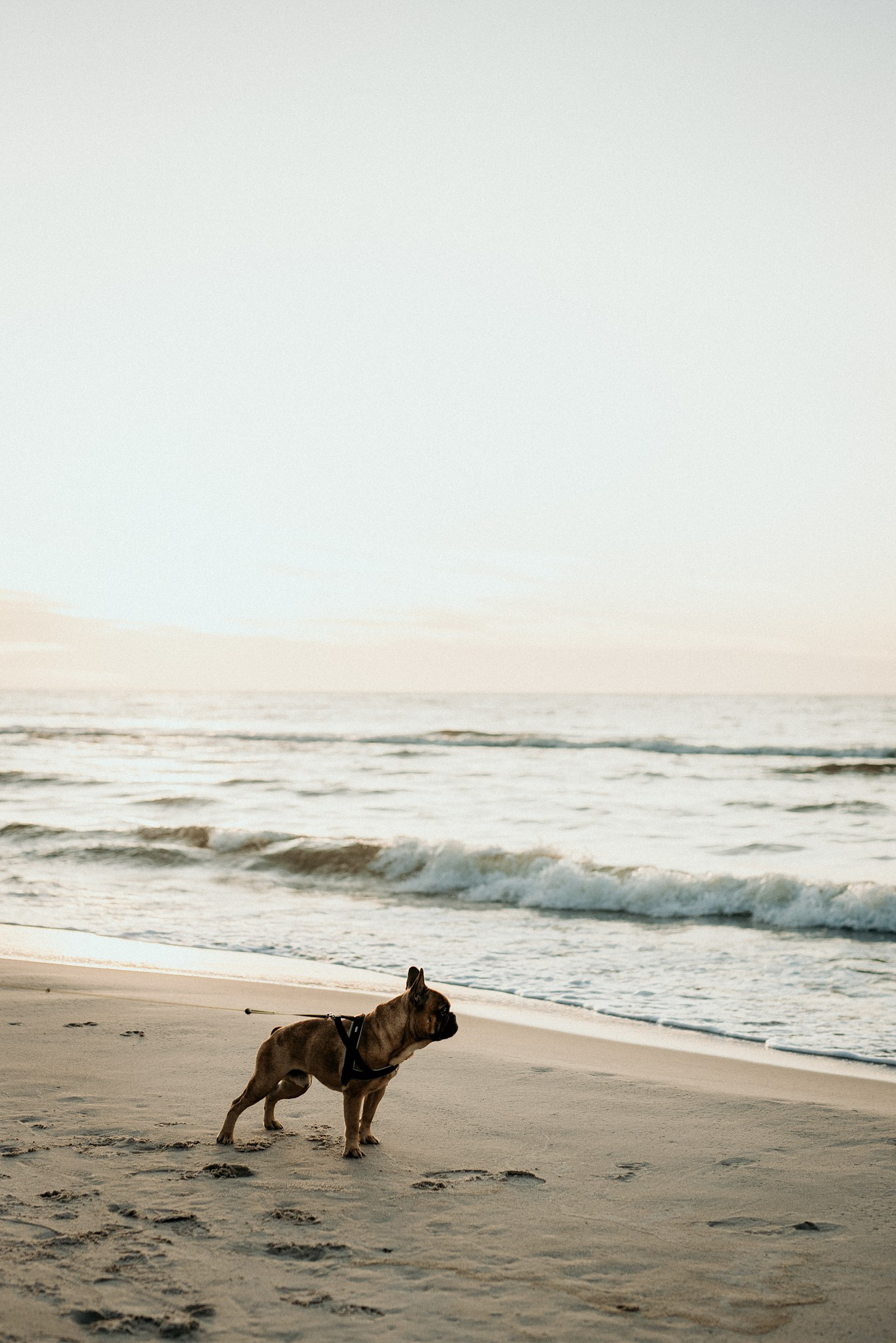 fotografia ślubna warszawa oferta