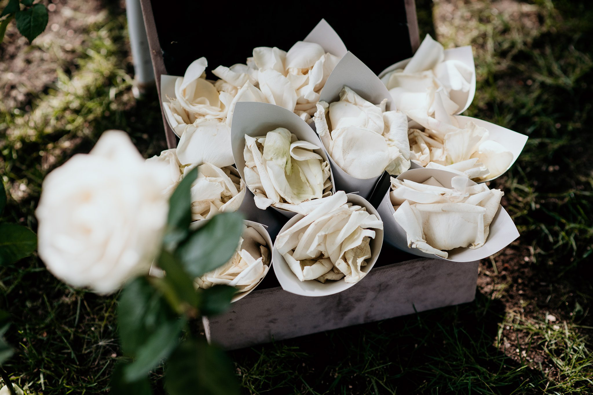 wesele villa julianna